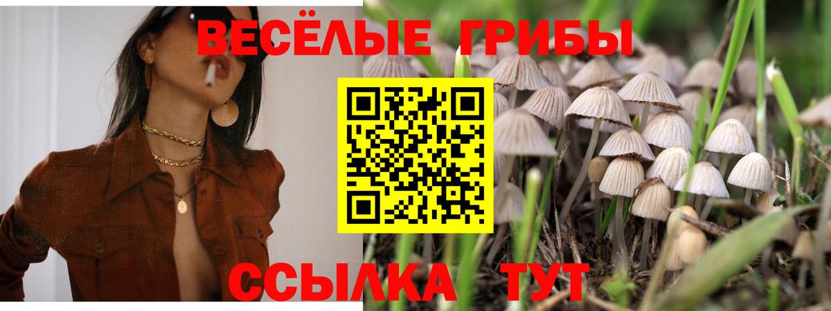 Галлюциногенные грибы ЛСД  Вход с VPN  Севастополь 